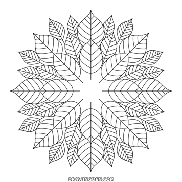 Autumn leaf mandala with dozens of veined leaves arranged in rings around an empty center