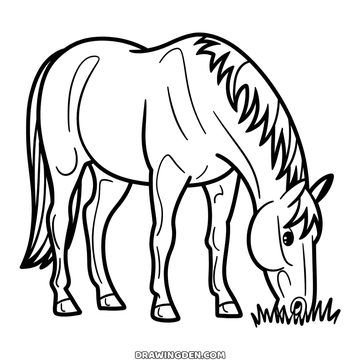 Horse grazing with its head down in the grass and the mane falling forward over the neck, realistic drawing to print