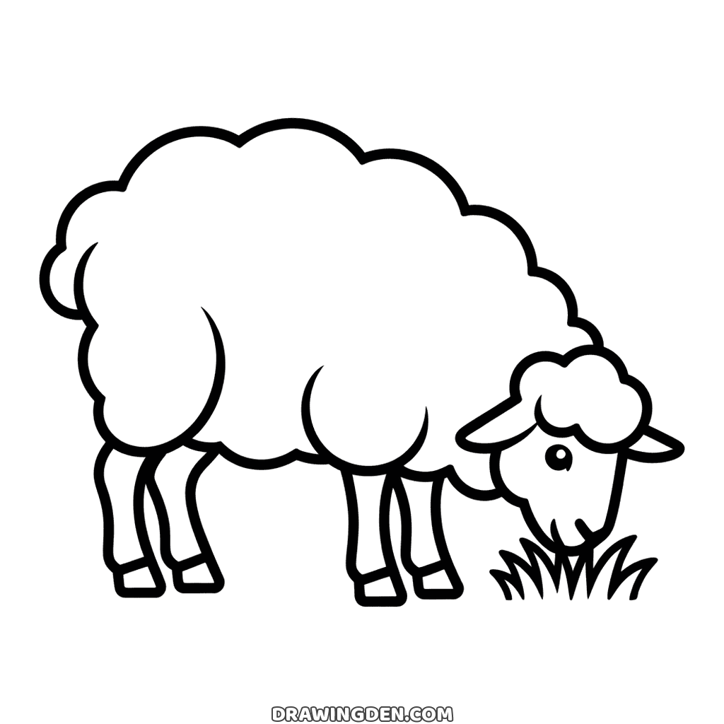 Farm sheep seen from the side with its head down to a tuft of grass, a fluffy curly coat and four thin legs