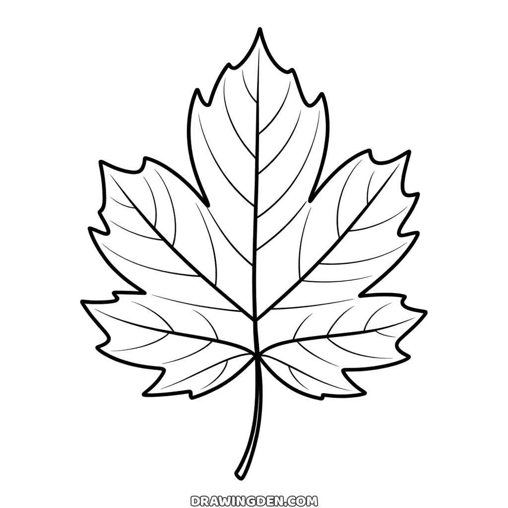 Fall maple leaf with five pointed lobes, the veins drawn from the stem to every tip