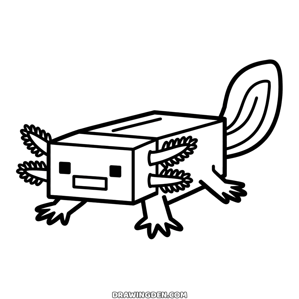 Minecraft axolotl with a box body, frilly gills on each side of its head and a large curled tail