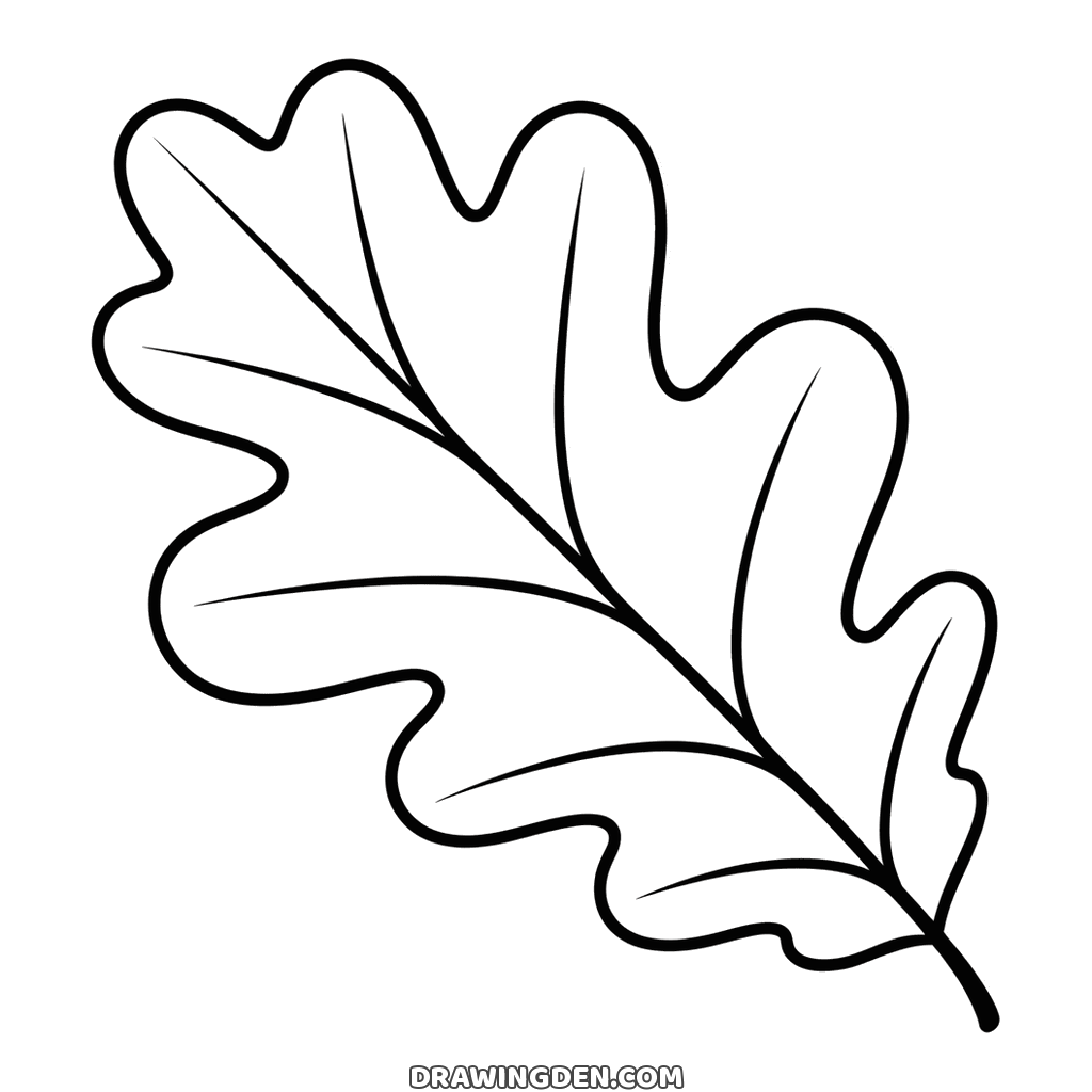 Autumn oak leaf with wavy rounded lobes, a central vein and a curved stem, simple outline